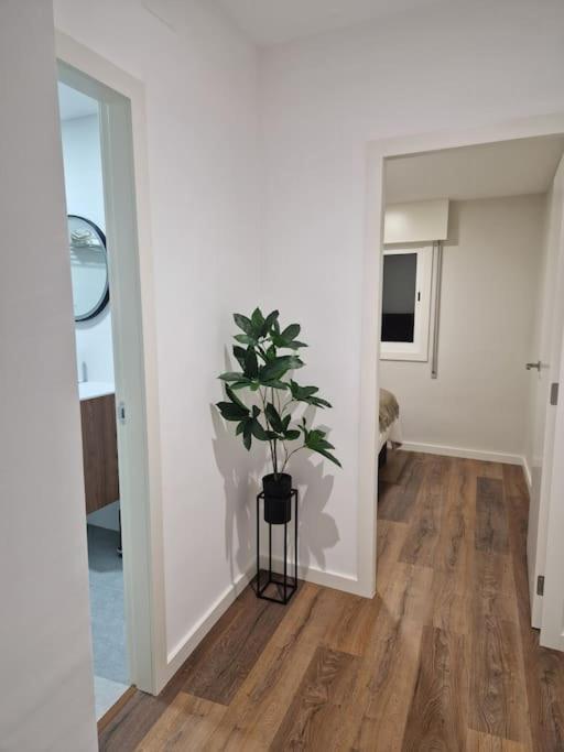 Atico Cork Apartment Vigo Exterior photo